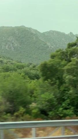 The video is a side-view of a moving vehicle. The camera is positioned to capture the scenery outside the window. In the foreground, a grey metallic railing is visible, running horizontally across the bottom of the frame. Beyond the railing, a lush, green landscape unfolds. The scene is dominated by dense vegetation, with various shades of green foliage creating a textured backdrop. Tall, mature trees with spreading canopies are interspersed with smaller bushes and undergrowth. In the distance, rolling hills covered in greenery rise up, their slopes softened by a light haze or fog that blurs the details and creates a sense of depth. The overall impression is one of a natural, possibly mountainous or hilly, environment during daytime, with the light suggesting an overcast sky. The motion blur indicates that the vehicle is in transit.