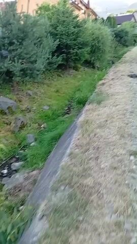 The video shows a walk through a rural area, likely in Veliatyno, Ukraine. The scene is a narrow path beside a shallow, overgrown ditch or stream. Lush green grass and bushes line the ditch, with large rocks visible in the water. On the other side of the path, dry grass and gravel cover the ground, interspersed with dark patches that might be remnants of a fire. Further in the distance, houses with orange and white facades are visible, surrounded by trees and vegetation. The sky appears overcast, suggesting a cloudy day. The overall atmosphere is peaceful and natural, with no people or distinct objects apart from the houses and the natural elements. The video is shot from a moving perspective, implying someone is walking or being carried.