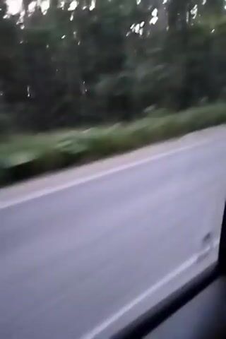 The video shows a perspective from inside a vehicle traveling on a paved road. A forest is visible on the left side of the road. A road sign indicating a sharp turn to the right is visible on the left side of the road among the trees. The weather appears to be overcast. The video is blurry and shaky, suggesting it was filmed while the vehicle was in motion.