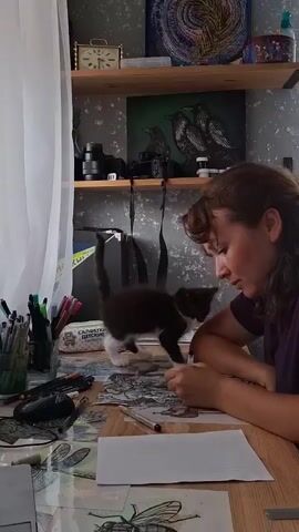 A woman is drawing at a desk in a room. The desk is cluttered with art supplies, including pens, pencils, and markers. There are also some drawings on the desk, including one of a beetle. A black and white kitten is standing on the desk next to the woman, looking at her as she draws. The woman is wearing a purple shirt and has her hair pulled back. She is focused on her drawing. In the background, there is a shelf with various items, including a clock, cameras, and a painting. The room appears to be a home studio. The lighting suggests it is daytime, likely morning or afternoon, with natural light coming from a window to the left, partially obscured by a sheer curtain. The overall mood is one of quiet concentration and creativity. A label on a stack of papers reads "САЛФЕТКИ ДЕТСКИЕ" (SALFETKI DETSKIE), which translates to "Napkins Children's."