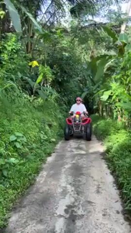 The video shows a man and woman riding a red ATV down a narrow concrete path flanked by dense tropical vegetation. The man, who is driving, wears a white shirt, sunglasses, and a light-colored hat, while the woman behind him is wearing a similar hat and is dressed in pink. The path leads slightly downhill and is surrounded by tall green plants, including banana trees and palm trees. The sky is visible through the canopy of trees, and the overall lighting suggests a bright, sunny day.