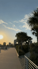 Evening waterfront activities captured along St. Petersburg pier at sunset