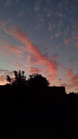 This is a vertical video of a sunset sky with clouds. The lower part of the frame is silhouetted by trees and a building. The clouds are illuminated by the setting sun, giving them a pink and orange hue, while the sky above is a gradient of gray and blue. The sun itself is not visible.