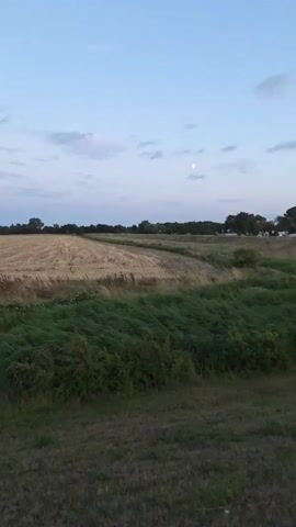 The video shows a wide shot of a rural landscape at dusk. In the foreground, there is a patch of dark green grass. Behind this, a dense line of wind-blown green vegetation sways from left to right. Further back, a harvested field of dry, golden-brown stubble stretches across the middle ground, with a curved path or track visible within it. The horizon is lined with trees and some indistinct structures. The sky is a pale blue with scattered wispy clouds, and a small, pale moon is visible in the upper right quadrant. The overall impression is one of tranquility and open space.