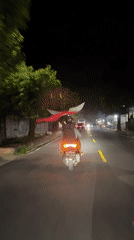 Motorcyclist carries large object on Sukawati road