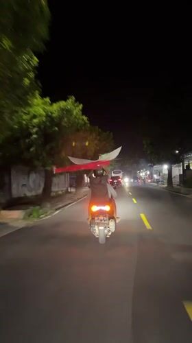 Motorcyclist carries large object on Sukawati road