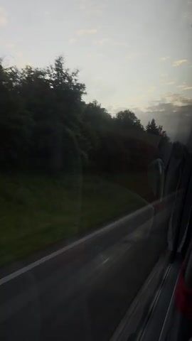 A first-person perspective video shows a view from a vehicle traveling along a road. The time appears to be either sunrise or sunset, with a soft, pale sky with some wispy clouds. To the left of the road, a densely forested hill rises, covered in dark green foliage. A few evergreen trees stand out against the backdrop of deciduous trees. The road itself is dark asphalt with a white line marking the edge. The right side of the frame shows the interior of the vehicle, with reflections on the window. Visible interior elements include parts of seats and possibly a mirror. The vehicle appears to be moving at a moderate speed, indicated by the slight blur of the passing scenery. There are no people visible, and no specific objects or actions are highlighted beyond the general movement and the landscape.