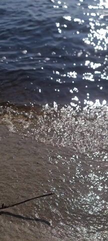 The video shows waves lapping on a sandy shore. The water is clear enough to see the sandy bottom near the shore. The sun glints off the water surface creating bright highlights. A small branch is lying on the sand near the edge of the water. The water has a slightly dark blue hue further from the shore.