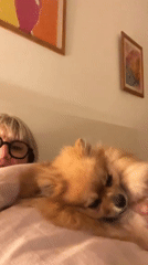 Woman's quiet evening at home with pets in Chambœuf