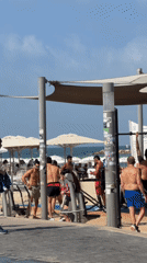 Tel Aviv beachfront morning: outdoor gym, boardwalk, border collies