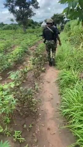 A group of soldiers are walking along a narrow path in a rural, overgrown field. The soldiers are wearing camouflage uniforms and carrying firearms. The field is filled with tall grass and small bushes. The sky is partly cloudy. The camera follows the soldiers from behind as they move forward.