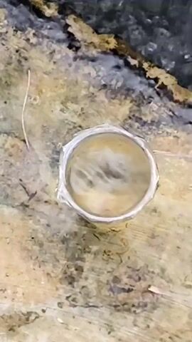 The video shows a close-up, top-down view of a small metal container, possibly a can or a cup, sitting on a rough, textured surface that appears to be wood or bark. The container is filled with a liquid, and the surface of the liquid is disturbed, creating a swirling pattern. It appears to be some kind of liquid being poured or agitated within the container, with small particles visible suspended in the liquid and swirling. The lighting suggests an outdoor environment. The overall impression is of a scientific experiment or a process involving the liquid.