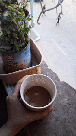 Residents haul water through Khan Yunis displacement settlement
