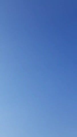 The video shows a clear blue sky with a few wispy clouds. The sun is visible in the lower left corner of the frame, casting a bright light and creating a subtle lens flare effect. The bottom of the frame shows the tops of trees, indicating an outdoor environment. The footage appears to be a stationary shot looking upwards. There are no people or discernible actions taking place in the video.