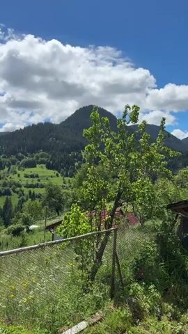 The video shows a wide shot of a mountain landscape. In the foreground, there is a wire fence and tall green grass with some wildflowers. Behind the fence, there is a house with a red roof and white walls. Further in the distance, there are rolling green hills covered in trees, with a small village nestled in a valley. The sky is blue with fluffy white clouds. The overall scene depicts a rural, mountainous environment on a sunny day.