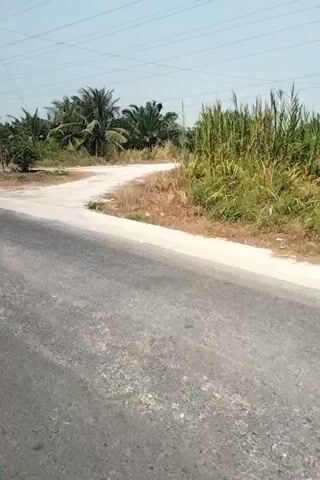 The video shows a perspective from a vehicle moving on a paved road. The road curves to the right. On the left side of the road, there is a dirt path that leads away from the road. Beyond the dirt path, there are palm trees and dry vegetation. Further down the road, there are more trees and some buildings. There is a signpost on the left side of the road. A few vehicles, including motorcycles and a jeep, are parked on the side of the road near some trees. There are also some people gathered near the parked vehicles. The sky is visible in the background, and it appears to be a clear day. The camera is tilted sideways, so the video appears rotated.