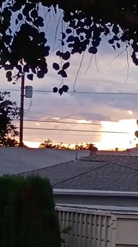 Sunset documented through tree branches in Los Angeles neighborhood