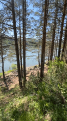 Morning lakeside gathering recorded in Krasnoyarsk forest area