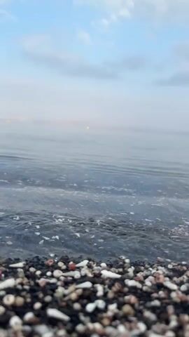 The video shows a close-up view of a beach on a calm day. The shore is covered with a mix of black pebbles and small, white, rounded stones, likely shells or coral. Gentle waves from a body of water, possibly a sea or lake, are lapping at the shore. The water is calm with small ripples and is slightly foamy. The sky is a pale blue with some light, wispy clouds. In the distance, a faint line of lights can be seen, possibly indicating a city or settlement across the water.