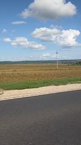 A roadside view of a rural landscape under a bright blue sky with scattered white clouds. A paved road occupies the foreground, with a white line marking the shoulder and a grassy verge beyond it. In the middle ground, a large field of dry, harvested crops stretches across the frame, with a lone utility pole standing in the middle. The background shows a distant treeline and the suggestion of a village or scattered buildings. The camera appears to be moving, as indicated by the slight blur and the appearance of what looks like a car's side mirror on the right edge of the frame in the latter part of the clip. The overall impression is one of travel through a calm, agricultural area on a sunny day.