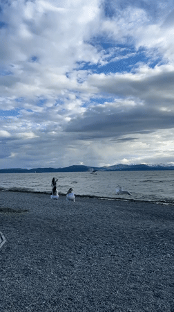 Kamchatka beachgoers on a breezy summer morning by the water