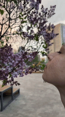 Spring afternoon moments captured across Novosibirsk during colorful skies