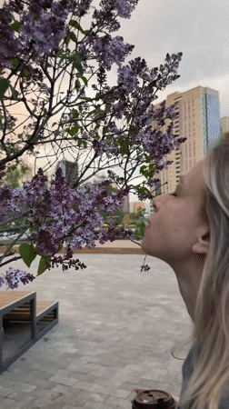 Spring afternoon moments captured across Novosibirsk during colorful skies