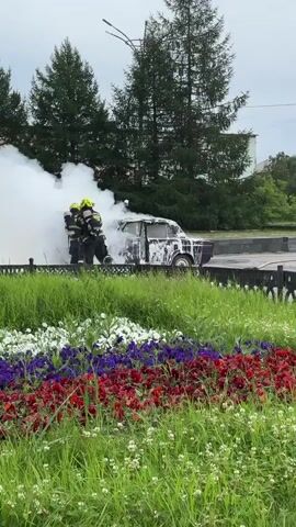 Three firefighters in full gear are working to extinguish a car fire. The car is heavily engulfed in flames and smoke, with visible damage to its exterior. Two firefighters are positioned near the front of the car, one holding a hose and the other appears to be directing water. A third firefighter is further back, also in protective gear. The scene appears to be on a street or public area, with a grassy area and a flower bed in the foreground. The flower bed is planted with flowers in red, white, and blue, arranged in stripes. Trees and a building are visible in the background. The sky is overcast.