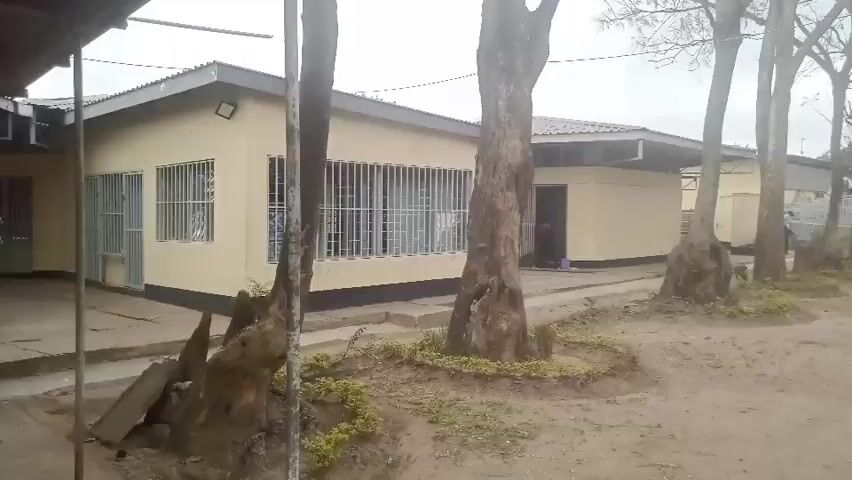 The video shows a panning view of a school campus. The first building is a light yellow, single-story structure with barred windows and a covered entrance. Several trees with bare branches are in the foreground. The camera then pans to reveal a courtyard with sandy ground, a small sapling, and some debris of corrugated metal. Further in the distance, there are more school buildings, one with a red brick facade and a yellow upper section, and others with light-colored walls. People are visible walking around the campus. The environment appears to be a somewhat overcast day, with a mix of trees and buildings that suggest an institutional setting.