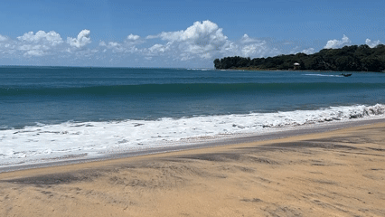Early morning beachgoers with surfboard spotted at Arugam Bay