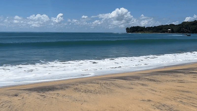 Early morning beachgoers with surfboard spotted at Arugam Bay