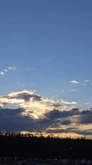 Golden sunset illuminates industrial site near Russian forest