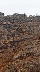 Rocky hillside activities observed during Saturday morning period