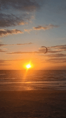 Kitesurfer captured against vibrant sunset at Ukrainian coastal town