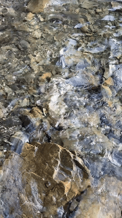 Water flows over rocks captured on Sithonia coastline