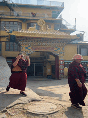 Early morning activity documented at Kirti Monastery, Dharamshala