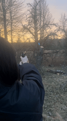 Target practice session conducted in rural Belarus field