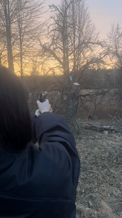 Target practice session conducted in rural Belarus field