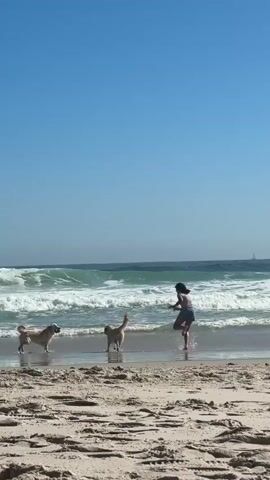 The video depicts a beach scene on a sunny day. A young person with dark hair, wearing a light-colored shirt and dark shorts, is seen running into the ocean alongside two light golden-colored dogs. The dogs appear to be chasing or following the person. In the background, waves are crashing. To the right of the frame, an adult in a white shirt and dark shorts stands on the sand, holding what appears to be a leash. The sky is clear and blue, and a sailboat is visible in the distance. The sand is light in color, with patterns suggesting moisture.