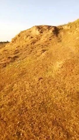 The video depicts a landscape featuring a body of water, a hill, and sparse vegetation. The hill, covered in dry, golden grass, slopes upward to the right of the frame. A dirt path is visible leading up the hill, with a few scattered bushes growing along the slope. The sky is clear and light blue. In the final seconds of the video, the shadow of a person holding the camera appears in the foreground.