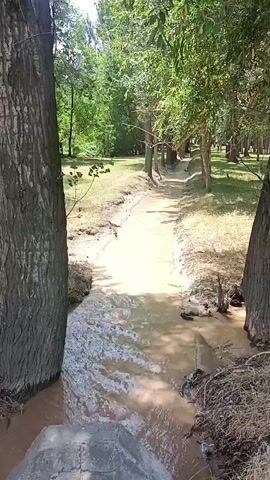 The video shows a muddy stream flowing between two large trees. The stream is narrow and appears to be in a park or wooded area. The water is murky and brown, with some debris floating in it. The trees on either side of the stream are tall and leafy, with green foliage visible in the background. The path continues into the distance, lined with more trees and vegetation. The overall scene suggests a natural, outdoor setting.