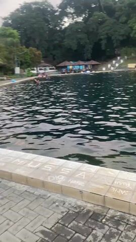 The video shows a body of water, likely a lake or large pool, with ripples on the surface reflecting the light. The water is dark green. In the foreground, there is a tiled edge with some graffiti or carvings on the tiles. Beyond the water, there is a shoreline lined with trees and vegetation, forming a backdrop of dense forest. A few small structures, possibly huts or kiosks, are visible along the shore, with people gathered around them. There are also some steps leading up a grassy embankment. In the water, a few people can be seen swimming or wading. The overall impression is of a natural recreational area.