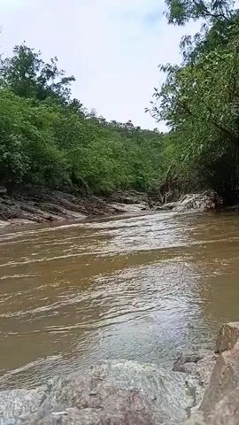 This video shows a murky brown river flowing through a natural gorge. The riverbanks are steep and rocky, covered in dense green foliage. The sky is overcast. There are no people or animals visible in the video. The camera is positioned low, close to the water's edge, capturing the flow of the river.