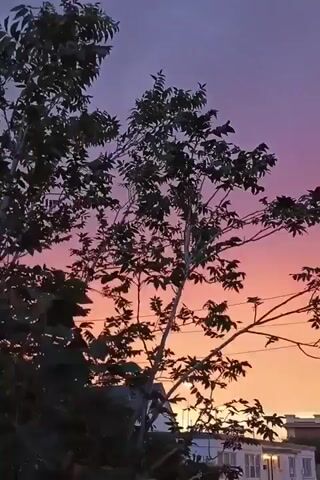 The video shows a sunset with vibrant colors. In the foreground, a silhouette of a leafy tree is visible against the colorful sky. Below the tree and in the background, there is a parking lot and some buildings. The sky transitions from deep purple at the top to shades of pink, orange, and yellow towards the horizon. There are power lines visible stretching across the sky. The overall scene is serene and captures the beauty of a colorful twilight.