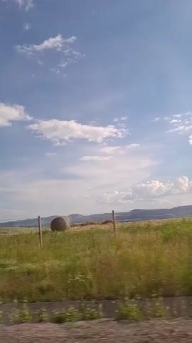 The video shows a view from a moving vehicle, likely a car, looking out at a landscape. The sky is blue with scattered white clouds. The ground is covered with green grass and some smaller white flowers. There are bushes and trees visible in the middle ground, and a gentle slope in the background. The overall impression is that of a sunny day in a rural or natural setting.
