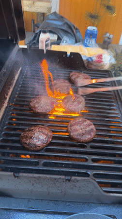 Burgers on the grill, greyhound on the deck, Oslo evening