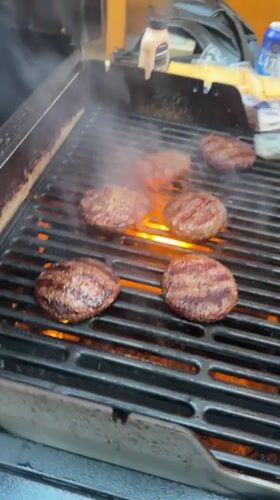 Burgers on the grill, greyhound on the deck, Oslo evening