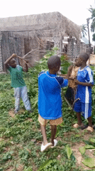 Children Play with Branches in Akwanga Nigeria Yards