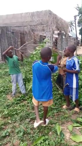 Children Play with Branches in Akwanga Nigeria Yards