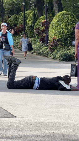 Diverse activities captured at Singapore's Gardens by Bay